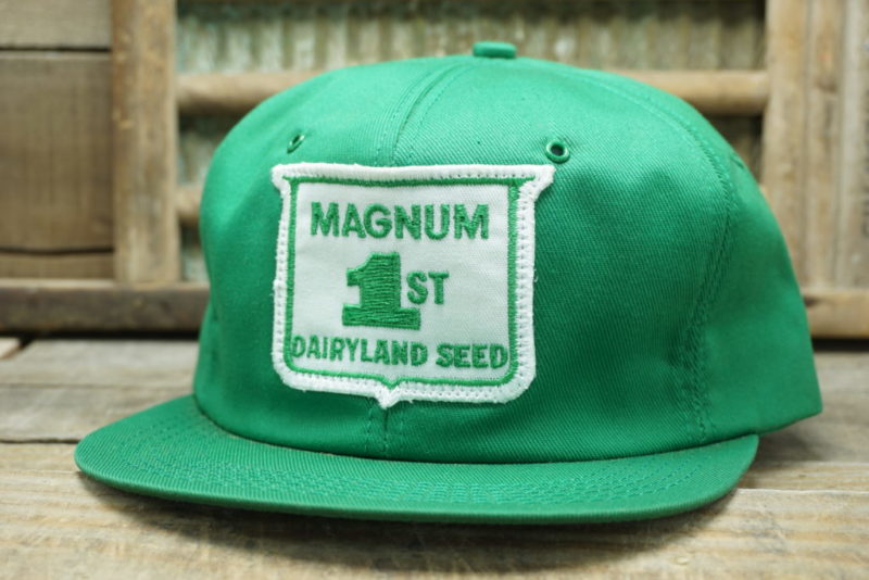 VINTAGE DAIRYLAND SEED SNAPBACK TRUCKER HAT