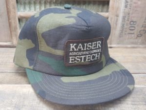 Kaiser Estech