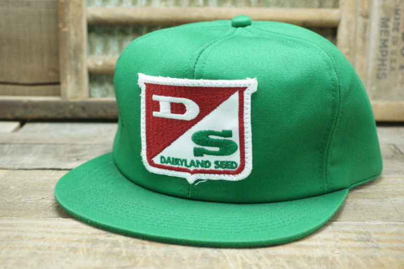 VINTAGE DAIRYLAND SEED SNAPBACK TRUCKER HAT