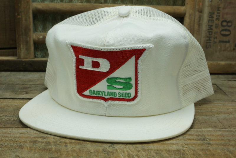 VINTAGE Dairyland Seed TRUCKER HAT