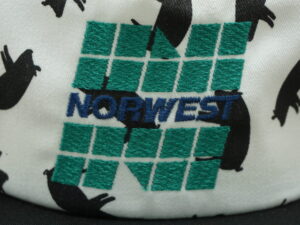 Norwest Bank Hat