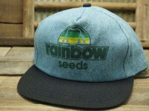 Rainbow Seeds Denim Hat