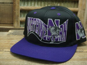 Northwestern University Wildcats Hat