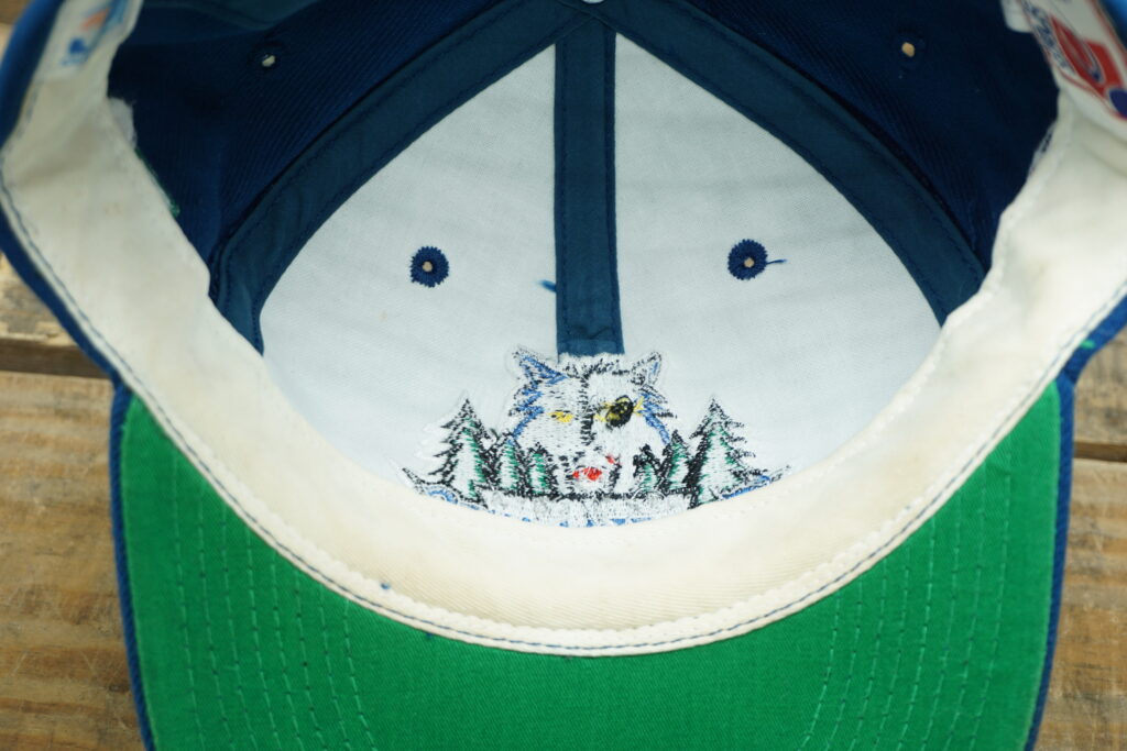 twins enterprise, Accessories, Rare Vintage Minnesota Timberwolves Twins  Corduroy Snapback Hat Cap 9s Nba