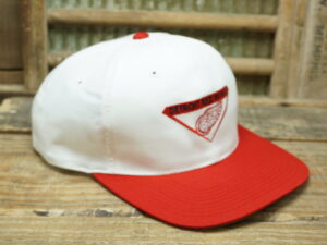 NHL Detroit Red Wings Sports Specialties Hat