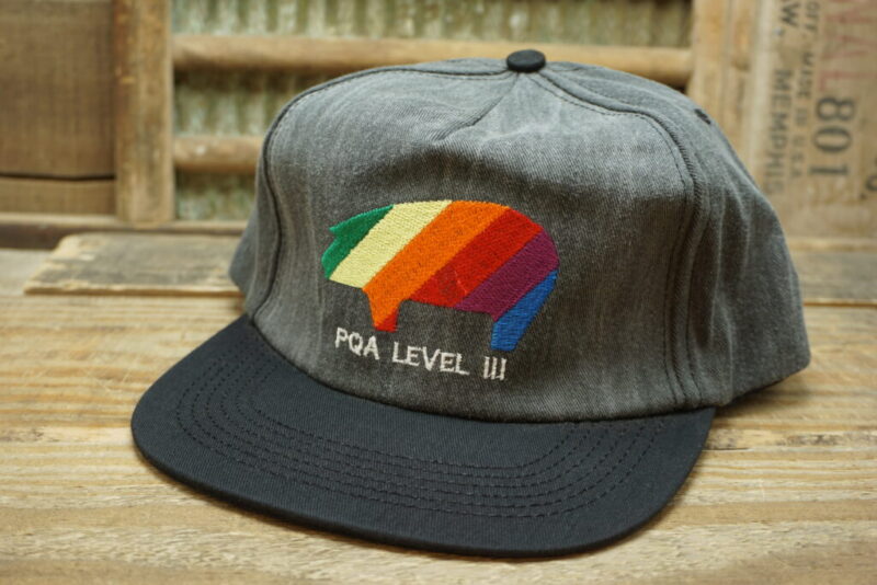Vintage PQA Level III Pig Pride Rainbow Strapback Hat