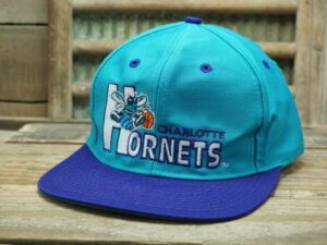 NBA Charlotte Hornets Logo 7 Hat