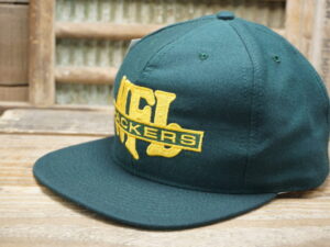 NFL Green Bay Packers American Needle Hat
