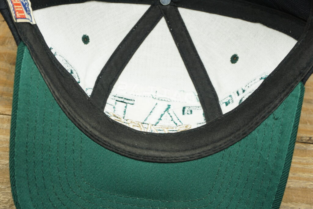 Dallas Stars Hat Starter Snapback Cap Wool Plain logo Black Green Hockey  Rare 
