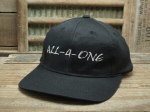 ALL-4-ONE Hat