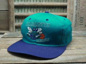 NBA Charlotte Hornets Hat