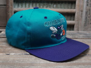 NBA Charlotte Hornets Hat