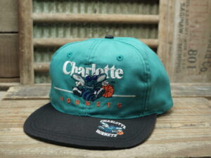 NBA Charlotte Hornets Hat