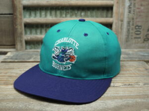 NBA Charlotte Hornets Hat