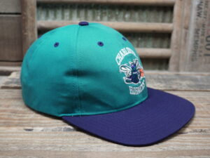 NBA Charlotte Hornets Hat